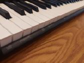 Sintezatorius Casio Casiotone Ct-s100 - nuotraukos Nr. 5