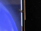 Samsug Glaxy S23 LCD nedideliu pikseliu - nuotraukos Nr. 3