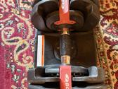 *Bowflex Select reguliuojami svarmenys - nuotraukos Nr. 3