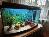Akvariumas 100l su visa įranga - nuotraukos Nr. 3