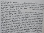 Grybai - nuotraukos Nr. 5