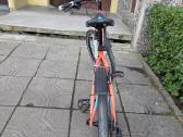 Head tacoma lady 26 MTB - nuotraukos Nr. 4