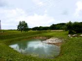 Parduodamas namas su 60a žemės - nuotraukos Nr. 3