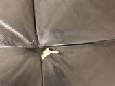 Odinė Sofa - nuotraukos Nr. 5