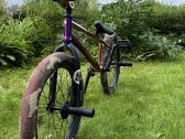 Custom BMX - nuotraukos Nr. 3