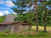 Parduodamas 11,33 a sodo sklypas SB „pušynas“ - nuotraukos Nr. 2