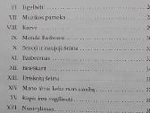 Be šeimos - nuotraukos Nr. 4