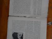 Didysis karas 1914-1918 m. - nuotraukos Nr. 9