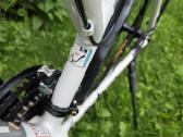 Fuji Absolute 2.1 Le miesto dviratis - nuotraukos Nr. 7