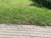 Parduodamas 8,3 a sklypas Kauno g. 56 Lazdijų m. - nuotraukos Nr. 5
