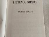 Lietuvos giriose - nuotraukos Nr. 2