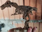 Dinozauro griaučiai dėlionė - nuotraukos Nr. 2