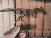 Dinozauro griaučiai dėlionė - nuotraukos Nr. 4