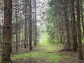 Parduodame sodybą Varėnos raj. - nuotraukos Nr. 36