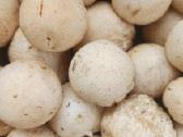 3.5kg Voveraičių ir kiti grybai pagal užsakymą - nuotraukos Nr. 6