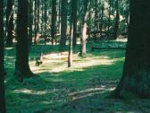 Olympus Az-1 Zoom - nuotraukos Nr. 7