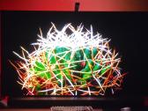 TV Samsung Oled 55" S95b - nuotraukos Nr. 7