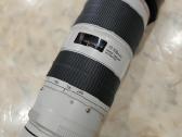 Canon EOS-1D X Mark III su linze 70-200mm 1:2.8 - nuotraukos Nr. 6