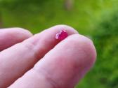 Natūralus rubinas 1.00ct su sertifikatu - nuotraukos Nr. 4