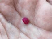 Natūralus rubinas 1.00ct su sertifikatu - nuotraukos Nr. 5