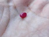 Natūralus rubinas 1.00ct su sertifikatu - nuotraukos Nr. 6
