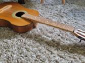 Gitara - nuotraukos Nr. 2