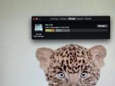 Parduodamas MacBook Air 13 (Early 2014) - nuotraukos Nr. 7
