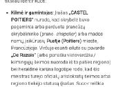Antikvarinis džentelmeno cilindras - nuotraukos Nr. 16