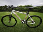 Insera MTB Alpina - nuotraukos Nr. 5