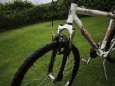 Insera MTB Alpina - nuotraukos Nr. 6