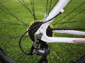 Insera MTB Alpina - nuotraukos Nr. 7