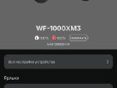 Sony Wf-1000xm3 - nuotraukos Nr. 7