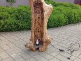 Seno ąžuolo šviestuvas-lempa gražus originalus did - nuotraukos Nr. 2