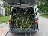 Kraustymas, baldų pervežimas ir surinkimas - nuotraukos Nr. 19