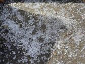 Plastiko granules - nuotraukos Nr. 3