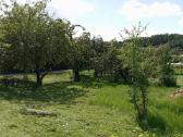 Parduodamas sodas,paruošta statyti karkasa iki50m² - nuotraukos Nr. 7