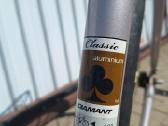 Classic Diamant dviratis - nuotraukos Nr. 5