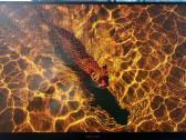 Philips Evnia 24 165hz Gaming monitorius - nuotraukos Nr. 7