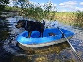 Bic Sportyak valtis - nuotraukos Nr. 7