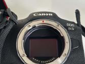Canon EOS R5 su Ef 85mm f/1.2l ir 50mm f/1.4 - nuotraukos Nr. 7