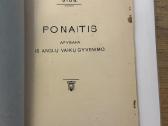 Antikvarinė knyga ,ponaitis apysaka 1908 m. - nuotraukos Nr. 2