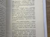 Užkeikta mergele su Barzda 1907 m. - nuotraukos Nr. 4