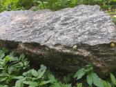 Betoninis gėlynas - nuotraukos Nr. 9