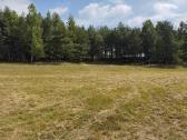64 arų sklypas su tvenkiniu - nuotraukos Nr. 3