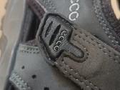 Ecco - nuotraukos Nr. 7