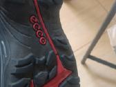 Ecco - nuotraukos Nr. 11