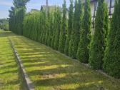 50m² 20 vietų šašlikine su 9 vietu apgyvendinimu - nuotraukos Nr. 35