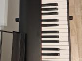 M-audio Hameer 88 Piano Bundle - nuotraukos Nr. 4