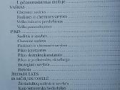 Bičių ūkis. 4 dalis - nuotraukos Nr. 4