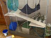Du jauni degu patinėliai su įranga - nuotraukos Nr. 4